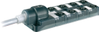 EXACT12, 8XM12, 5-POLE, MOULDED CABLE 