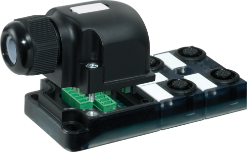 EXACT12, 4XM12, 5-POLE, CAP, PLUG. SCREW-TERM Murrelektronik