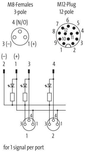 marron magnet 8色セット marron magnet – énoi