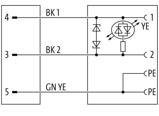 Y-Verteiler M12 St. / MSUD Ventilst. C-8mm kl. BF im Y-Verteiler M12 St. / MSUD Ventilst. C-8mm kl. BF im